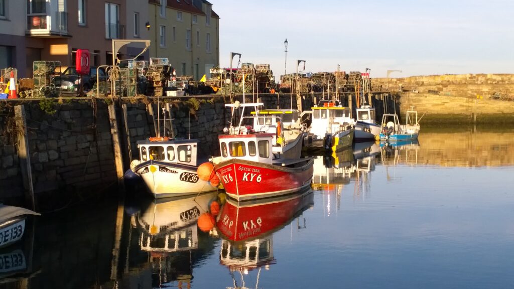 fishing vessels in st andrews habour, it is very sunny