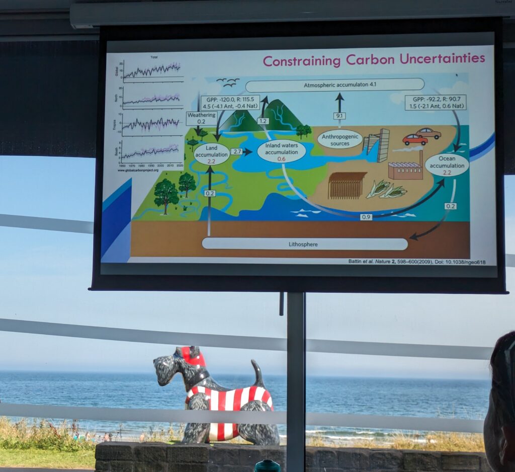Flatscreen with diagram of marine carbon measurements