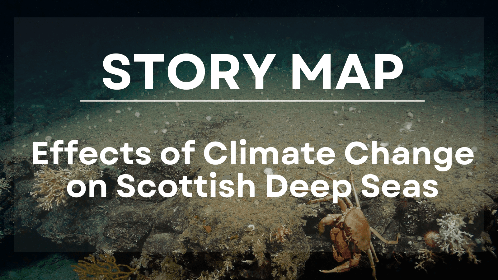 Story Map Title in front of a picture of a crab under water