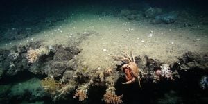 NERC Funded Deep Links Project Plymouth University, Oxford University JNCC BGS
