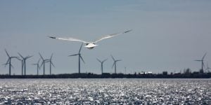 A seagull flying over the ocean, wind farms in the background